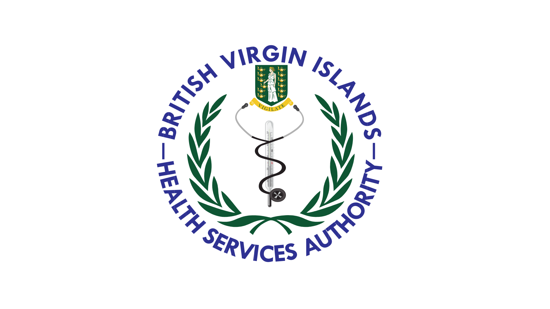 BVIHSA